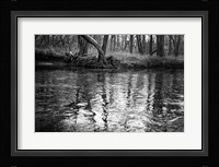 Bank Study #1 Fine Art Print