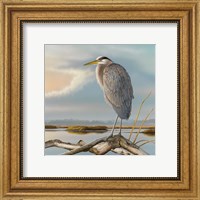 Marsh Watch - Great Blue Heron Fine Art Print