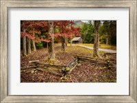 Smokies Cabin Fine Art Print