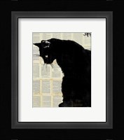 Black Cat Fine Art Print