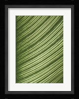 Cannis Veins Fine Art Print