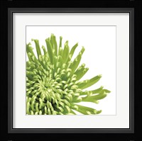 Green Bloom 3 (detail) Framed Print