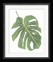 Philodendron 2 Fine Art Print