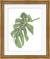 Philodendron 3 Fine Art Print