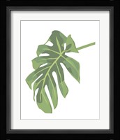 Philodendron 3 Fine Art Print