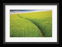 Seductive Path Fine Art Print