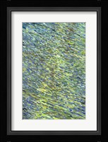 Pouring Fine Art Print