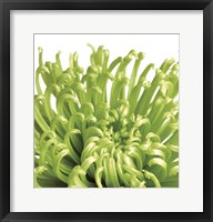 Green Bloom 5 (detail) Fine Art Print