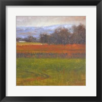 Red Vineyard Near The River I Fine Art Print