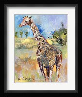 Giraffe Framed Print