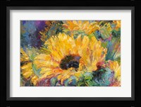 Blue Sunflowers Framed Print