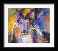 Collie Fine Art Print