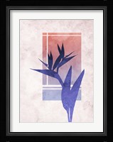 Ombre Bird of Paradise Flower Framed Print