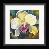 Elegance Fine Art Print