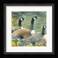 Trio Fine Art Print