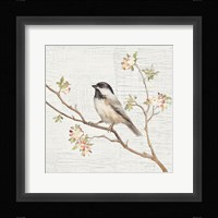 Black Capped Chickadee Vintage Framed Print