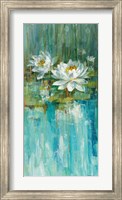 Water Lily Pond II Fine Art Print
