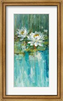 Water Lily Pond II Fine Art Print