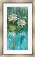 Water Lily Pond III Fine Art Print