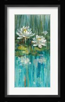 Water Lily Pond III Framed Print