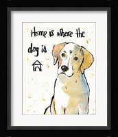 Strike a Paws II Framed Print