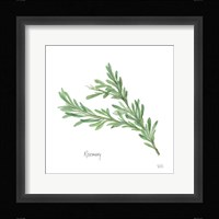Rosemary Framed Print