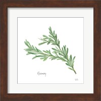 Rosemary Fine Art Print