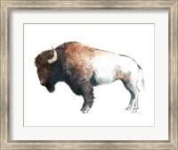 Colorful Bison Dark Brown Fine Art Print