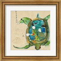 Chentes Turtle Light Fine Art Print