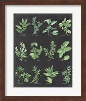 Herb Chart on Black Fine Art Print