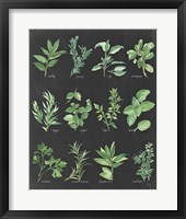 Herb Chart on Black Fine Art Print
