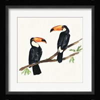 Tropical Fun Bird I Framed Print