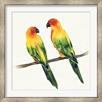 Tropical Fun Bird III Fine Art Print