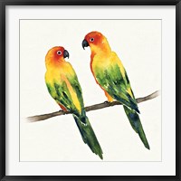 Tropical Fun Bird III Fine Art Print