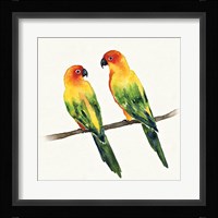 Tropical Fun Bird III Fine Art Print