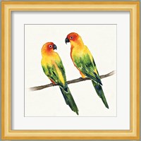 Tropical Fun Bird III Fine Art Print