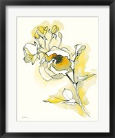 Carols Roses IV Framed Print