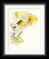 Carols Roses II Framed Print