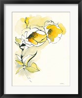 Carols Roses II Framed Print