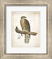 The Lookout I Fine Art Print