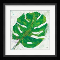 Single Leaf Play on White Framed Print
