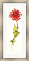 Peony Form Poppies II Fine Art Print