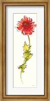Peony Form Poppies II Fine Art Print