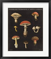Mushroom Chart II Framed Print