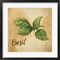 Basil on Burlap Fine Art Print