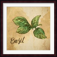 Basil on Burlap Fine Art Print