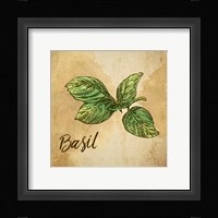 Basil on Burlap Framed Print