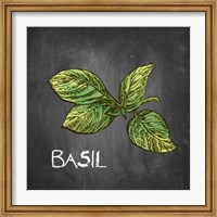 Basil on Chalkboard Fine Art Print