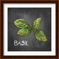 Basil on Chalkboard Fine Art Print
