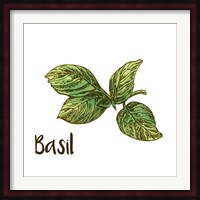 Basil Fine Art Print
